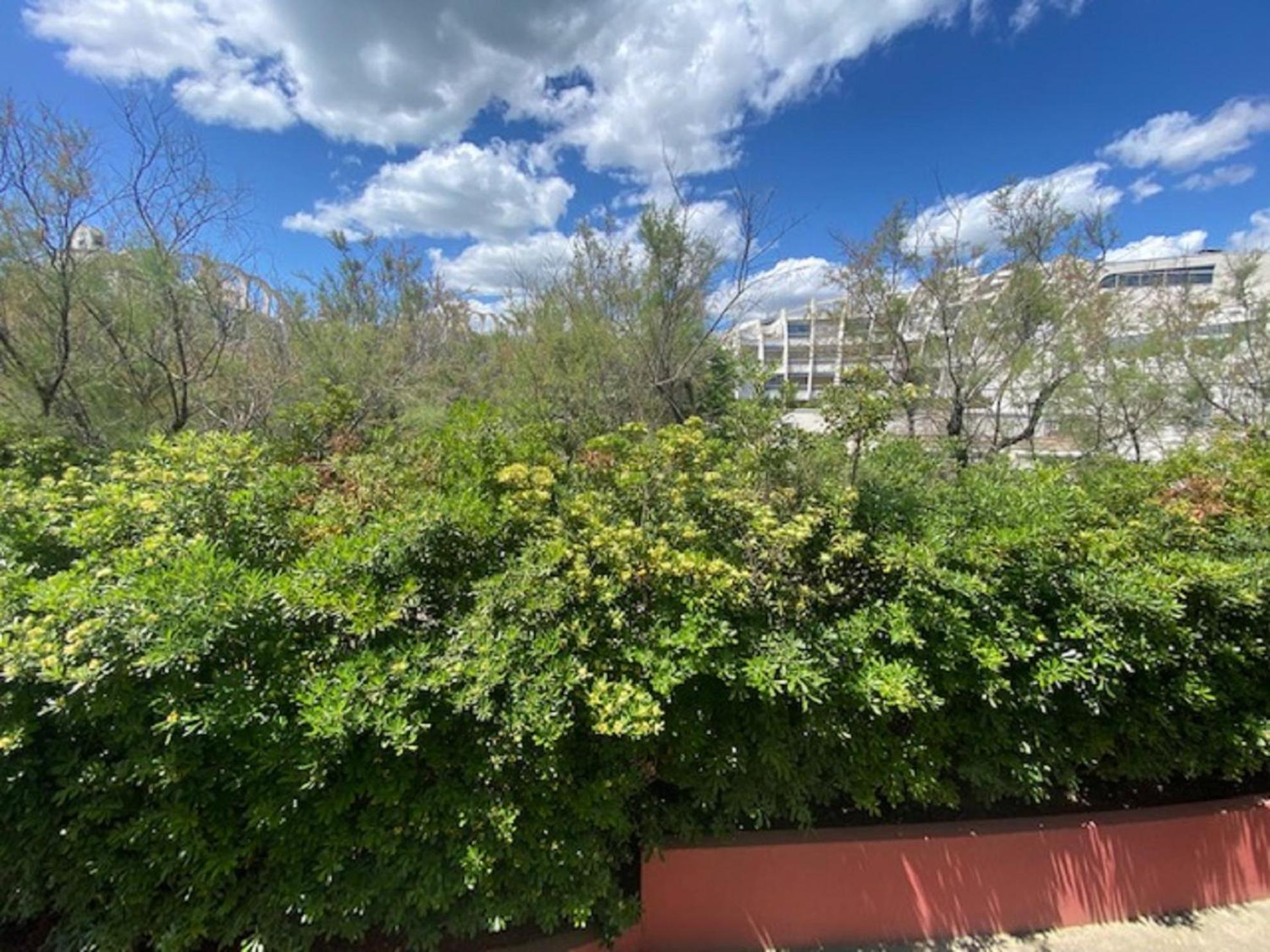 Vittoria Immobilier 4-Reglement Sur Place -Cheques Vacances Acceptes La Grande Motte Exterior photo